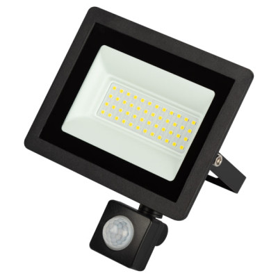 Прожектор ЭРА  LPR-042-2-65K-050 50Вт 6500K IP44 рег ИК д/д