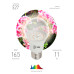 ЭРА Лампа светодиодная LED FITO-11W-Ra90-2150К-E27 полного спектра /36