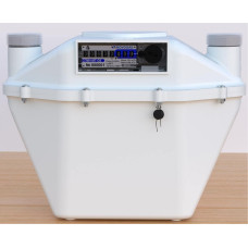 Счетчик газа двухкамерный СГМН-МТ1-G6 (левый), 270*180*260 мм