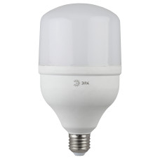 ЭРА Лампа светодиодная LED POWER T100-30W-6500-E27