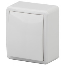 Выключатель, 10АХ-250В, ОУ, Эра Эксперт, 11-1201-01 ЭРА белый 2/16/160 /мин.пар.2шт