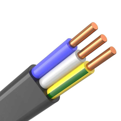 Кабель ВВГ 3x2.5 П - нг(А)-LS- 0,66 /120