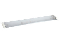 Линейный светильник ЭРА ДПО 11-2х10-001  IP40 под 2 светодиодные лампы Т8 G13 LED 2*600мм