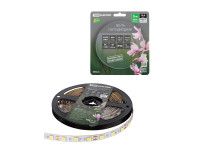 TDM Лента LED SMD5050-60 LED/м-IP20-12 В-14,4 Вт/м-6000 К (5 м) блистер