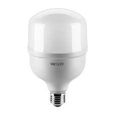 WOLTA Лампа светодиодная LED25WHP30E27/40 HP 30Вт 2500лм 6500К E27/40 1/40