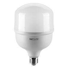 WOLTA Лампа светодиодная LED 25WHP40E27/40 HP 40Вт 3500лм 6500К E27/40 1/20