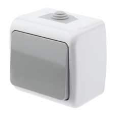 Выключатель Intro Atlantic 5-101-03 10А-250В, IP54, открытой установки, серый 10/120