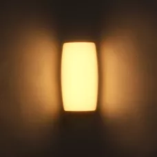 Светильник фасадный «Лайтвей», FSD-077, 24 Вт, 3000K, IP65, 220 В, пластик, черный Светильник фасадный «Лайтвей», FSD-077, 24 Вт, 3000K, IP65, 220 В, пластик, черный