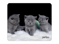 Perfeo Коврик для компьютерной мыши "Cat", Рис.26 (180*220*2 мм), ткань+резиновое основание /100