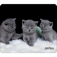 Perfeo Коврик для компьютерной мыши "Cat", Рис.26 (180*220*2 мм), ткань+резиновое основание /100