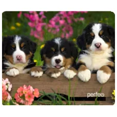 Perfeo Коврик для компьютерной мыши "Dog", Рис.13 (240*200*2 мм), ткань+резиновое основание /100 Perfeo Коврик для компьютерной мыши "Dog", Рис.13 (240*200*2 мм), ткань+резиновое основание /100