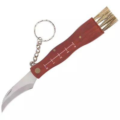 Нож грибника складной 17 см с щеткой