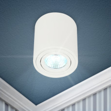 Потол. светильник ЭРА OL21 WH MR16/GU10, 120*95, Ø 60, Декор.подсветка, поворотный, белый 1/50 ЦЕНА▼