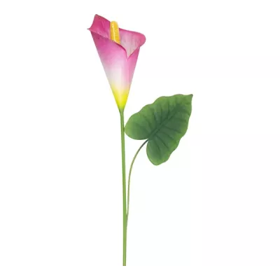 Штекер садовый "Калла Ремани"