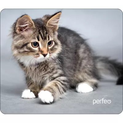 Perfeo Коврик для компьютерной мыши "Cat", Рис 20, (240*200*2 мм) ткань+резиновое основание/200