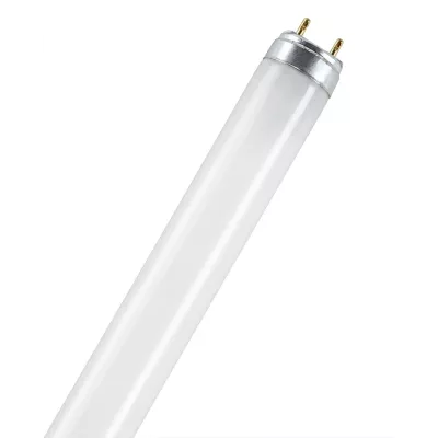 Лампа люм. L 36W/640 G13 4000K 2850лм Ra 60 BASIC OSRAM/крат.10шт