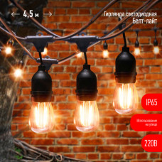 Гирлянда светодиодная ЭРА ERABL-FIL1 нить уличная на подвесах 4,5 м теплый белый 10 LED