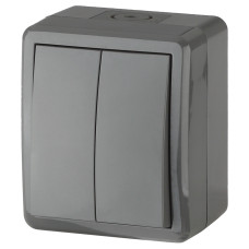Выключатель двойной IP54, 10АХ-250В, ОУ, Эра Эксперт, 11-1404-03 ЭРА серый 16/176