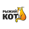 Рыжий кот
