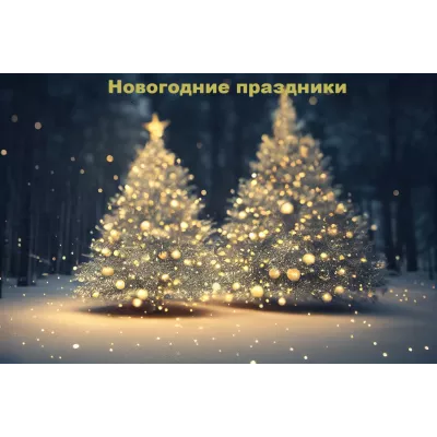 Информирование о предстоящих новогодних выходных.
