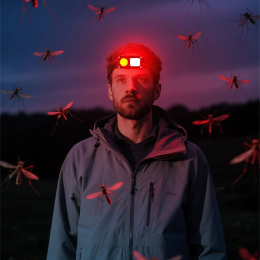 Выжигая мрак: Разбор новинок, от которых слепит даже днем. Выжигая мрак: Разбор новинок, от которых слепит даже днем.