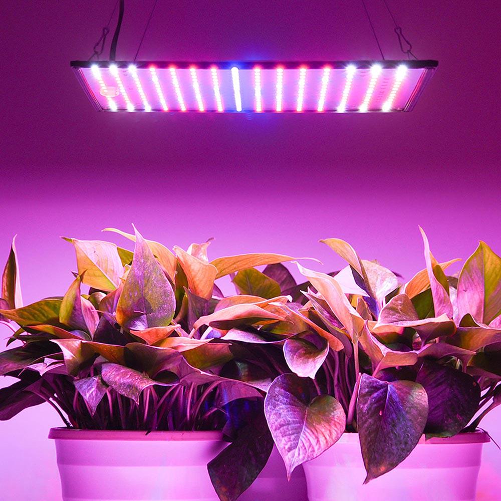 Как пользоваться светодиодной лампой для рассады. Фитолампа led grow Light. Фитолампа полный спектр. Led лампа для растений полного спектра 130вт Seoul. Фитолампа полный спектр для растений.